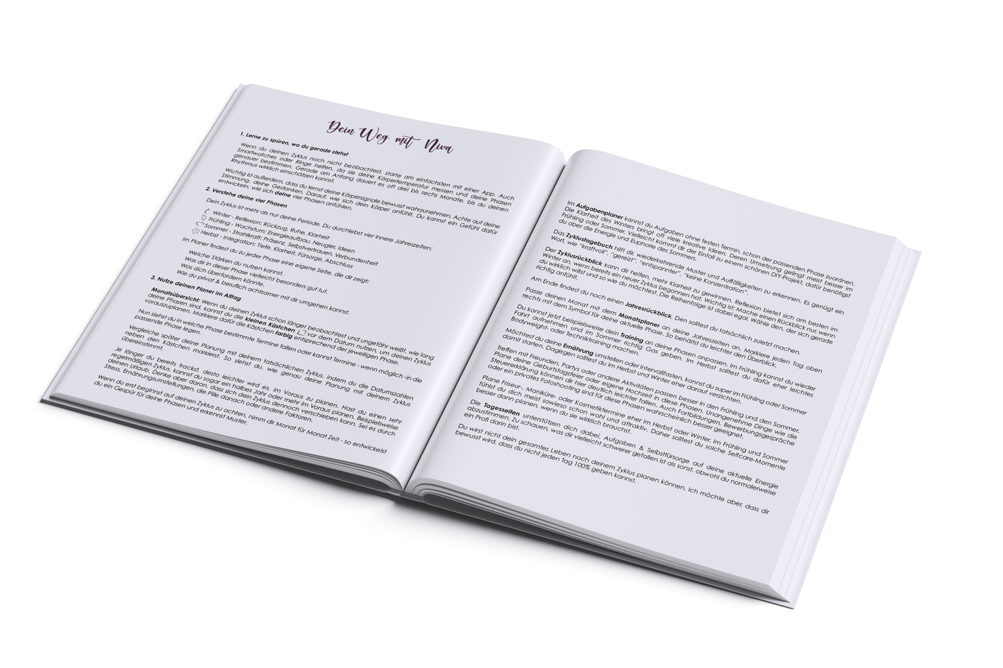 Niva Planer 2026 - Zyklusorientierter Kalender | DIN A4 | Nur 0,07 € pro Tag